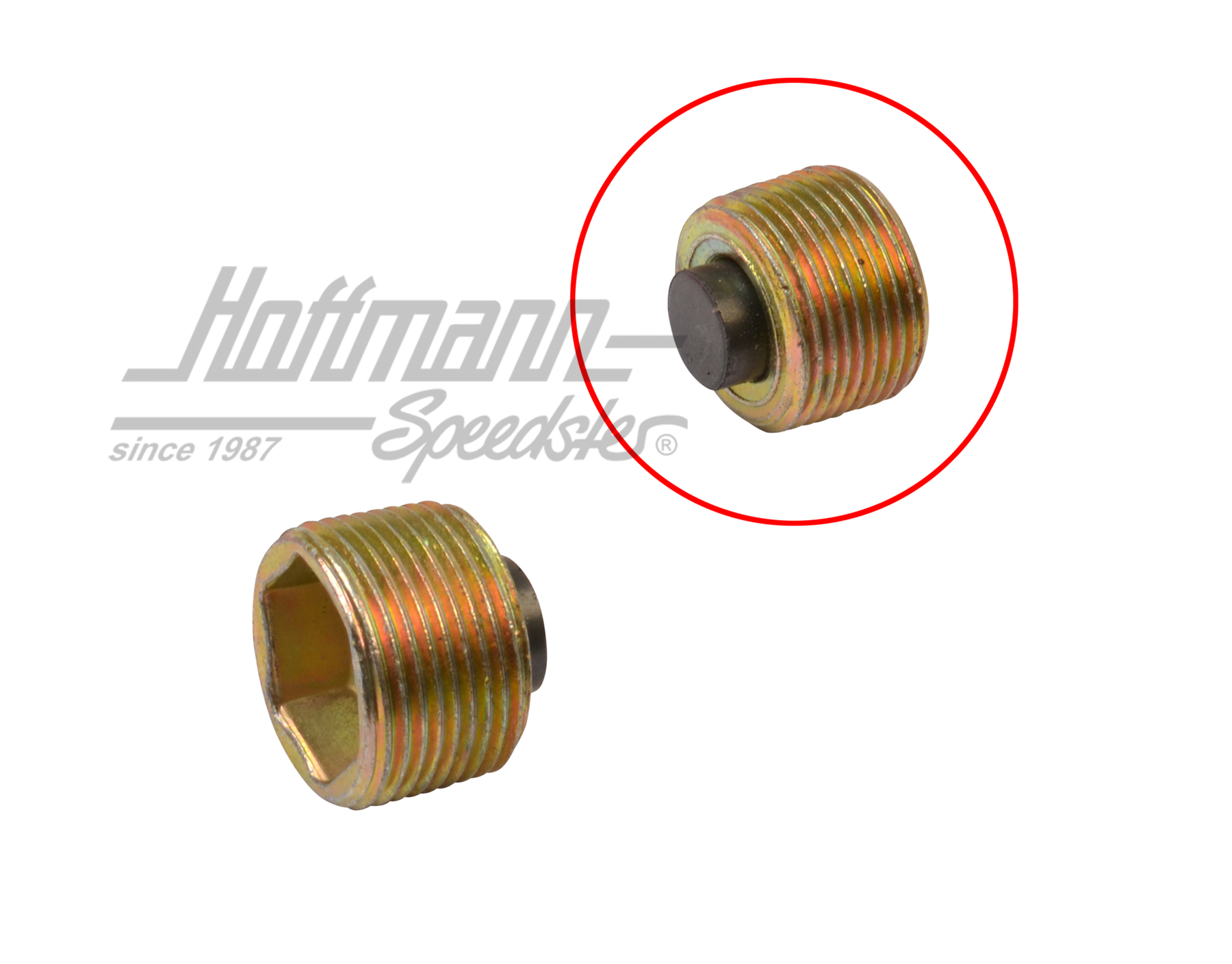 Transmission oil drain plug, magnetic | 113 301 141 B | 010-2109