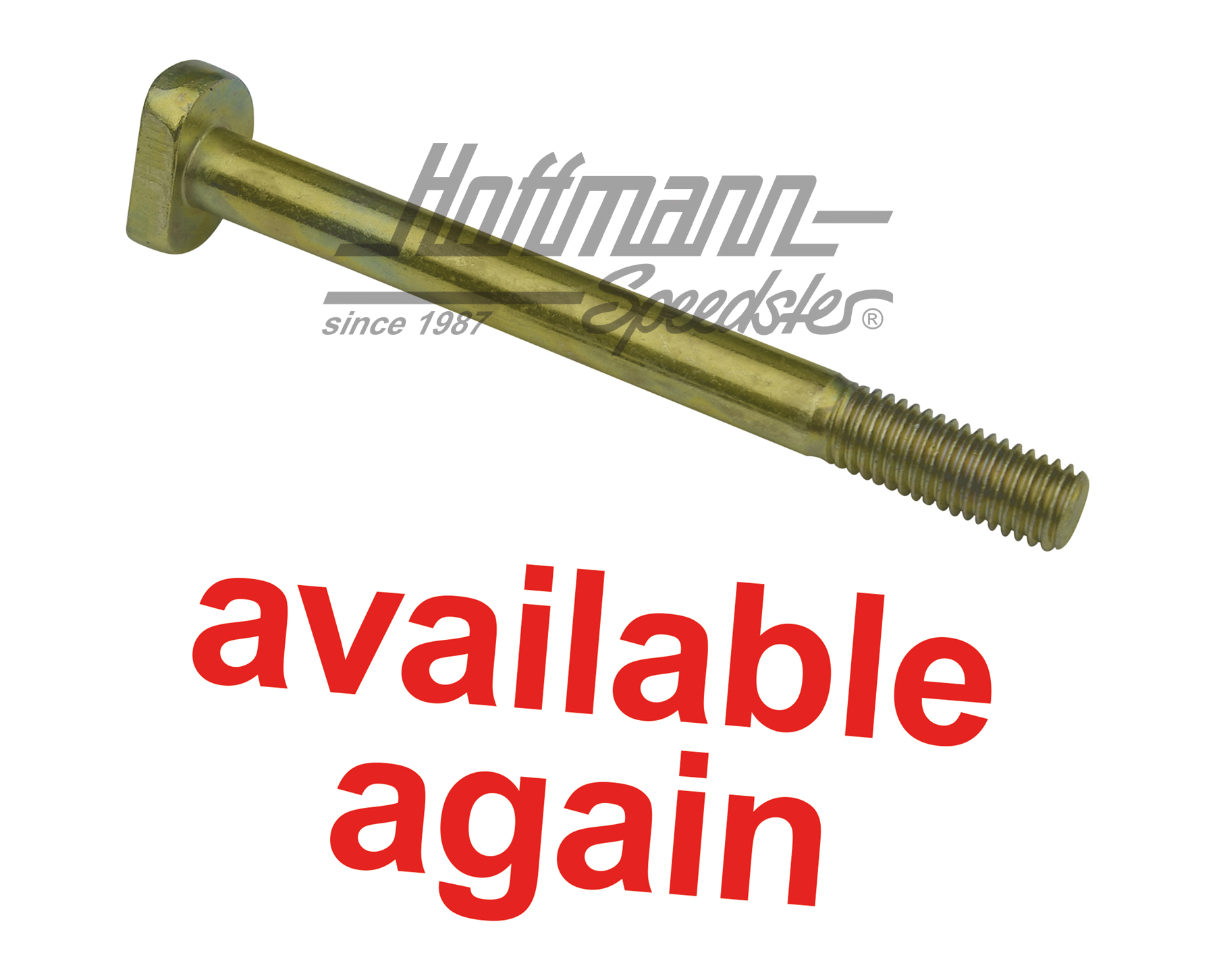 T-head bolt, engine mount, M10x110 | 111 199 101 | 010-0993