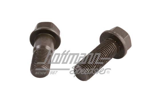 Screw set, brake caliper, Bus T2/T3, 73-86                                                          
