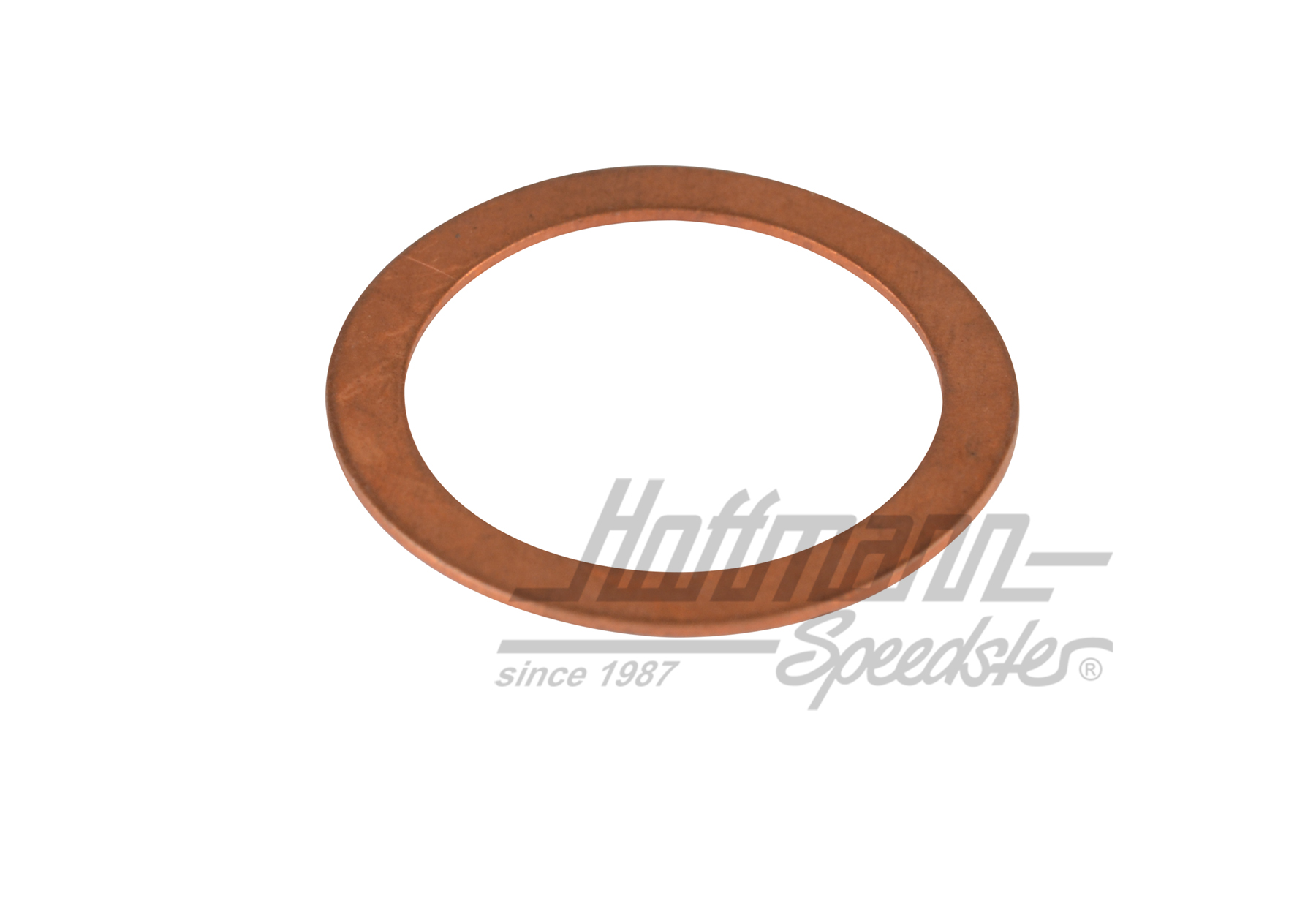 Sealing ring, float-needle valve | 113 129 213 A | 020-1320-10