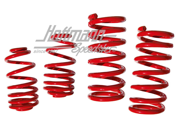 Lowering springs, Bus T3, 45mm | VL80170 | 330-3620