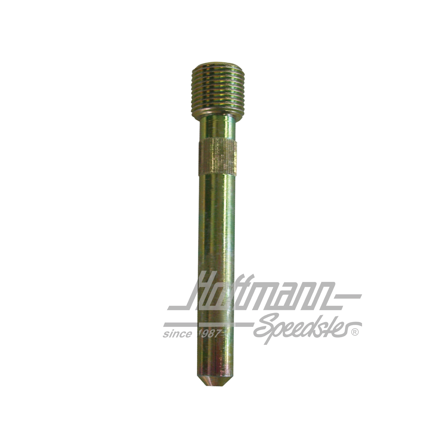 Door hinge pin with thread crust (standard) | 111 831 423 C | 045-9218