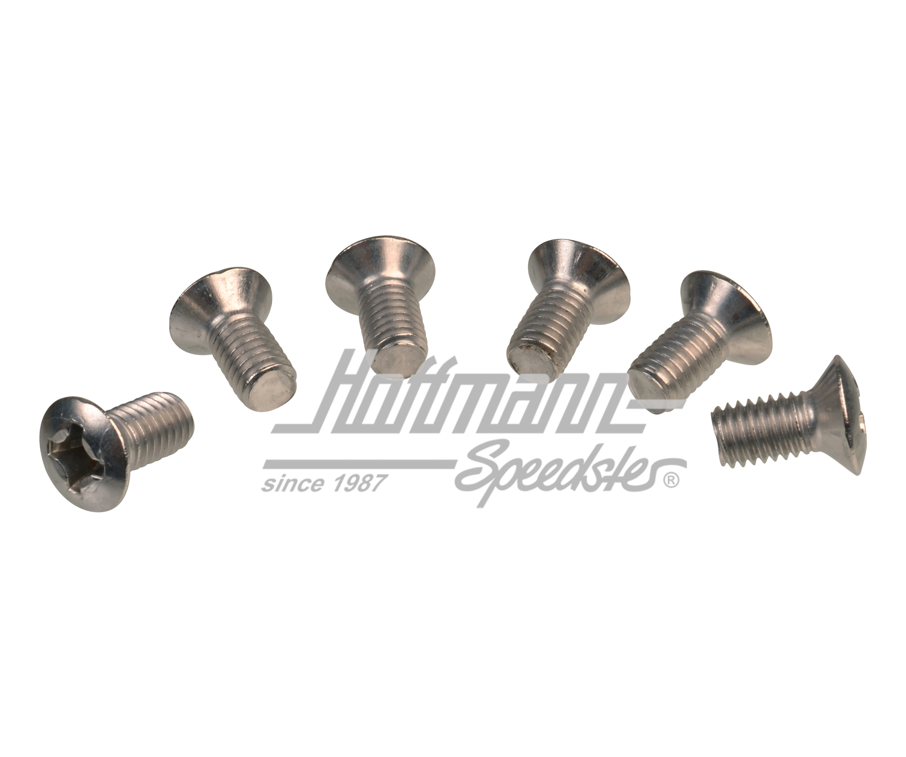 Screws, door hinge (set) | N  100 847 01 | 020-2440-10