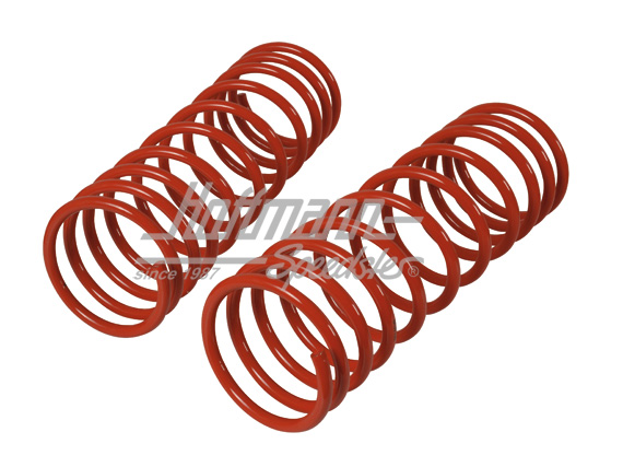 Lowering springs, front, 1302/1303, 45/50mm | 120 271 | 020-4259