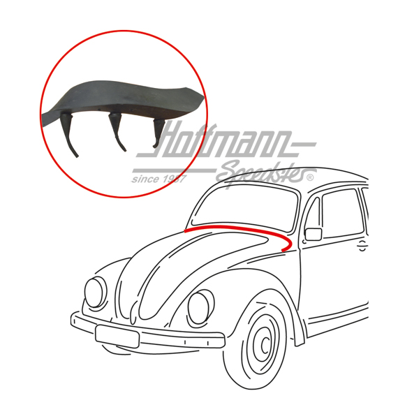 Front hood seal, "Mexico" in front of front window | 1BM 823 731 | 020-5105