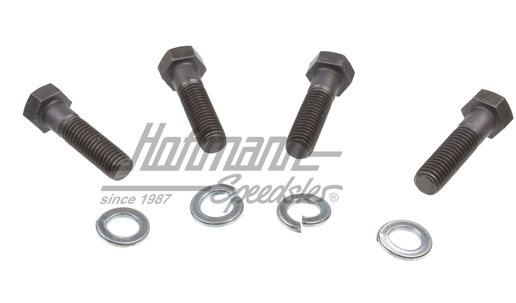 Screw set, torsion bar covers, M10x38 | N  010 020 1 | 020-0701-10