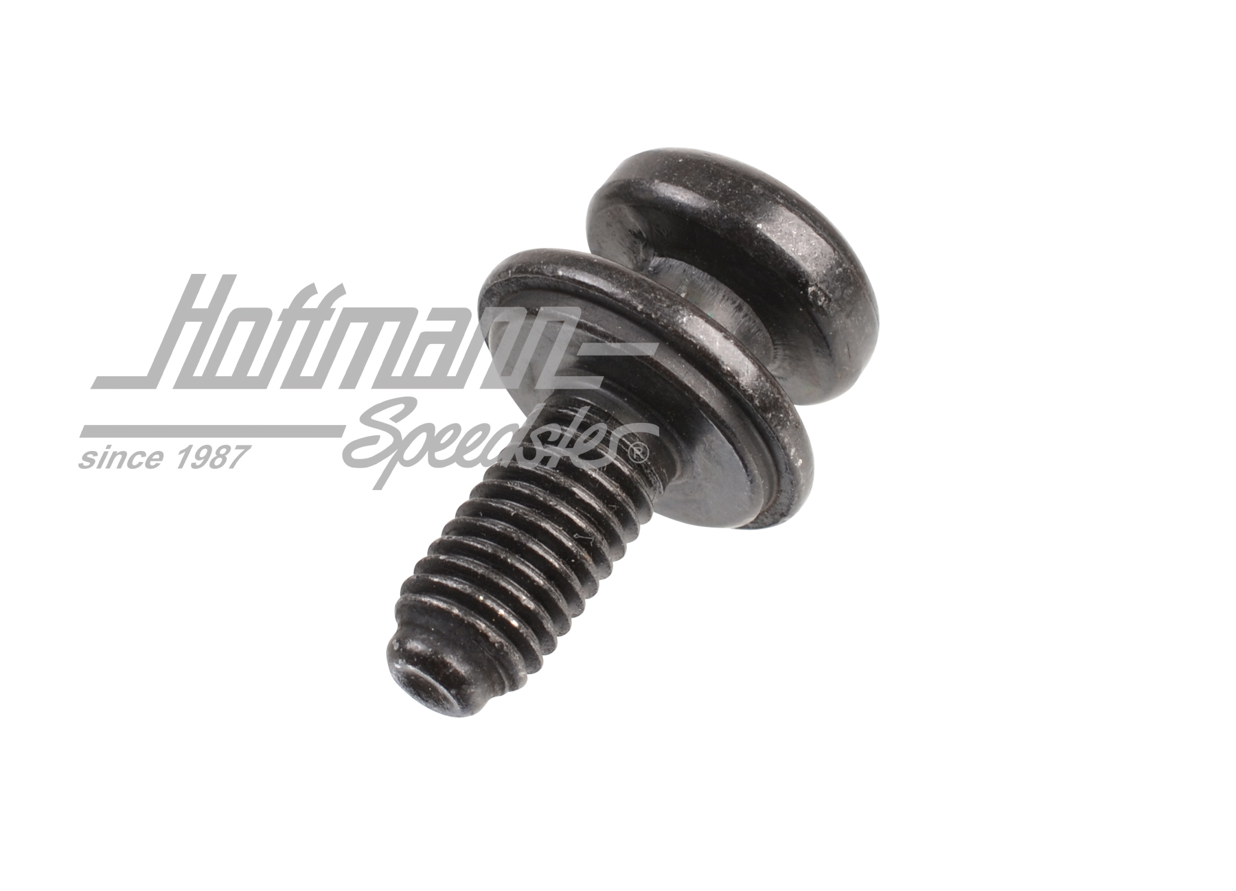 Mushroom-head screw, seat bench, Bus T4, 21mm                                                       