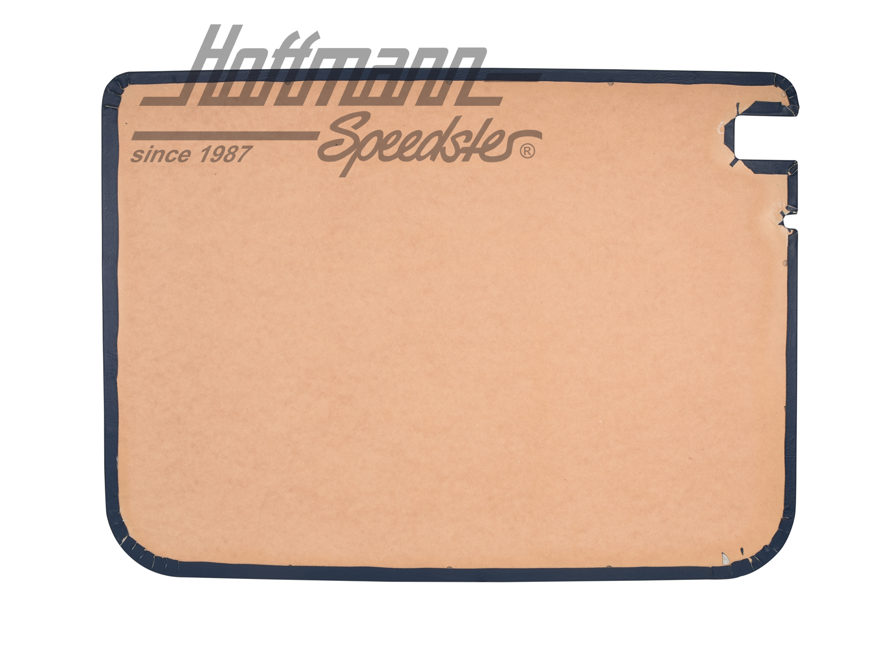 Sliding door panel
, 5.79-7.84, blue                                                               