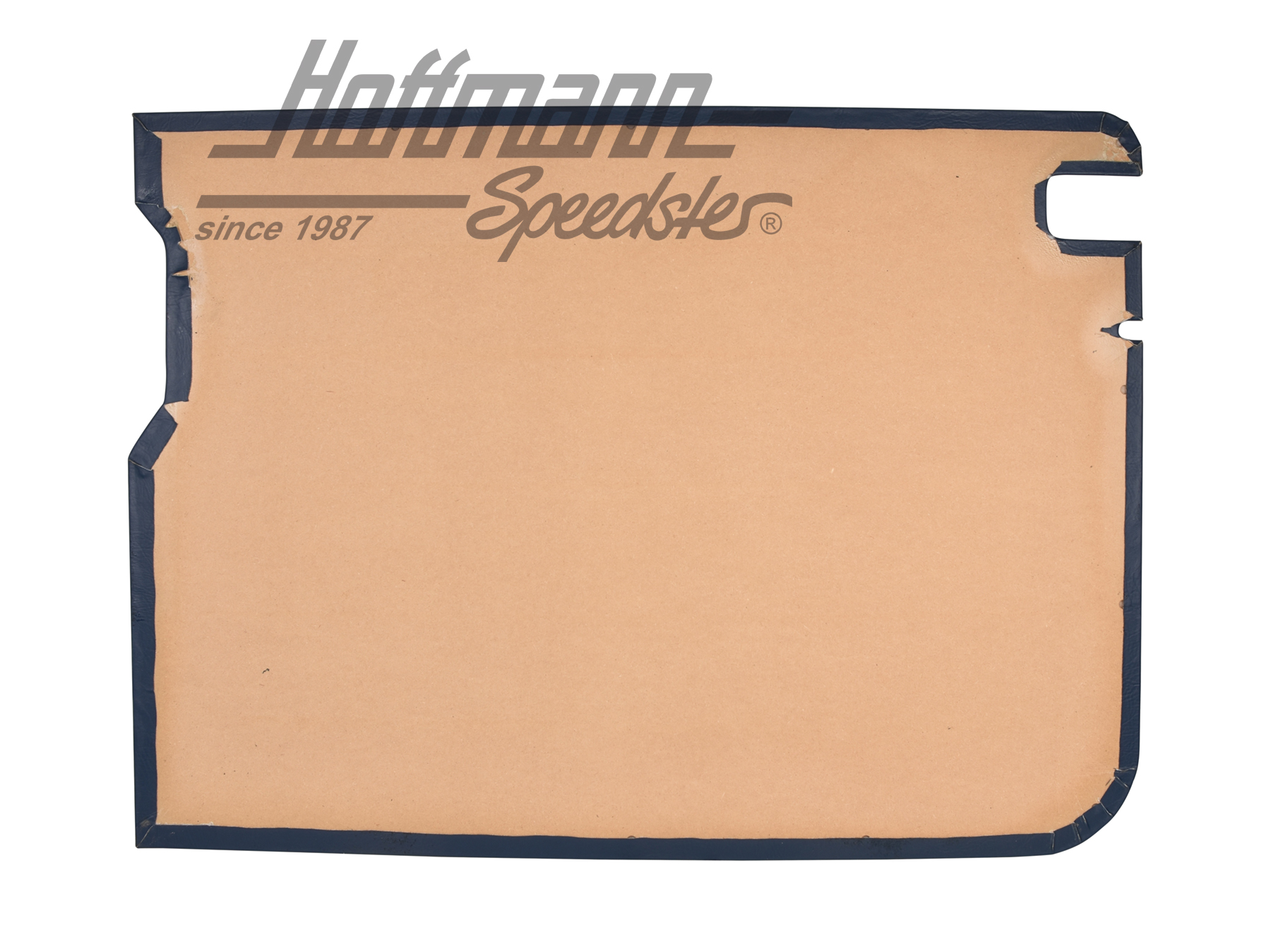 Sliding door panel
, 8.84-7.92, blue                                                               