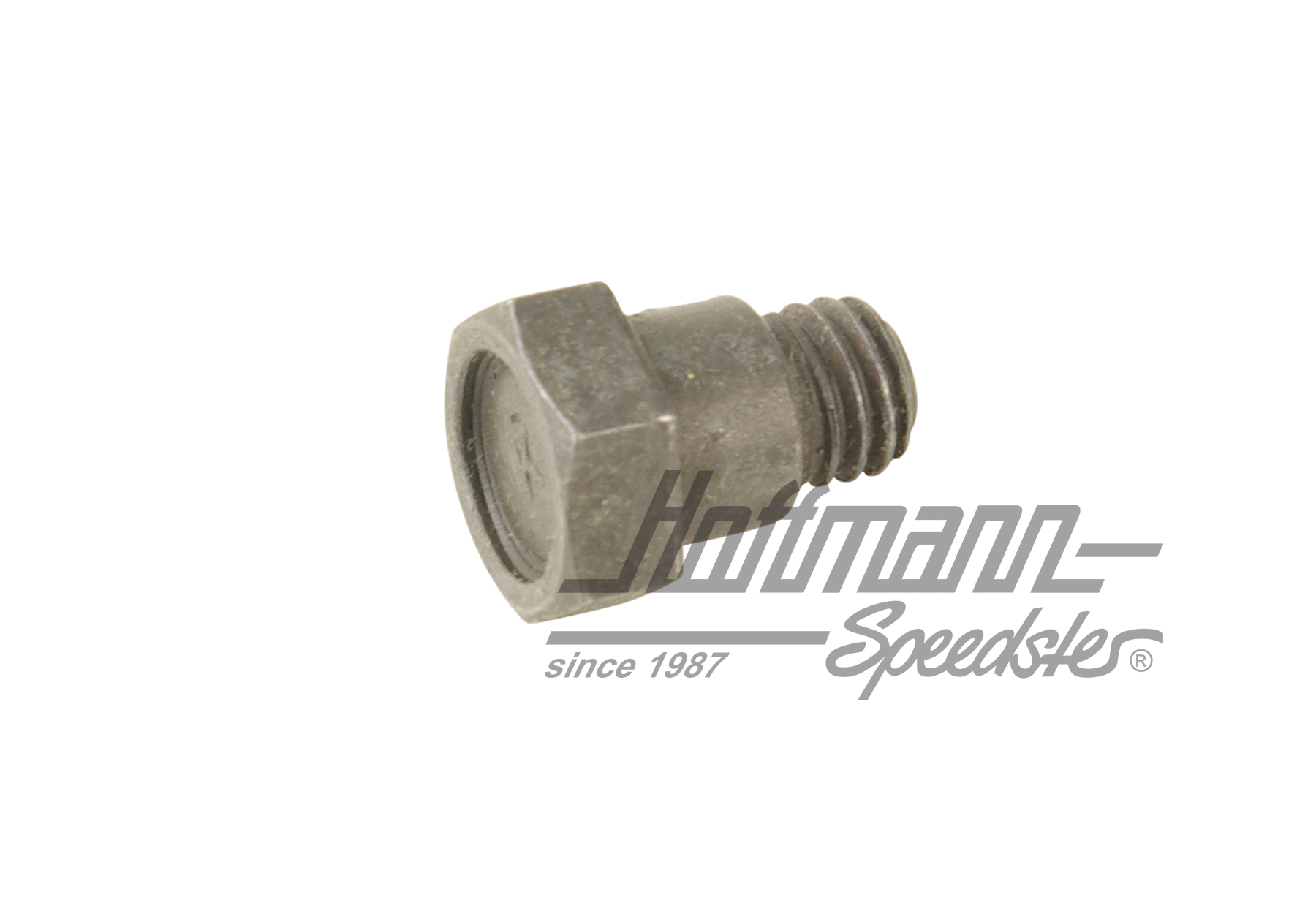 Bolt, supporting spring, Bus T1/T2/T3                                                               