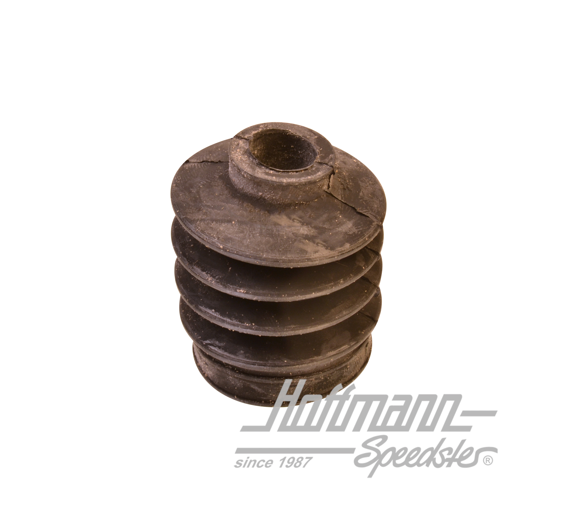 Protecting cap, master brake cylinder, Bus                                                          