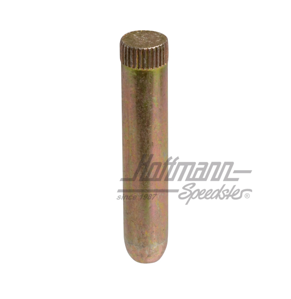 Door hinge pin, ø8mm, Bus T2, 75-79 | 211 831 421 C | 097-1008-30