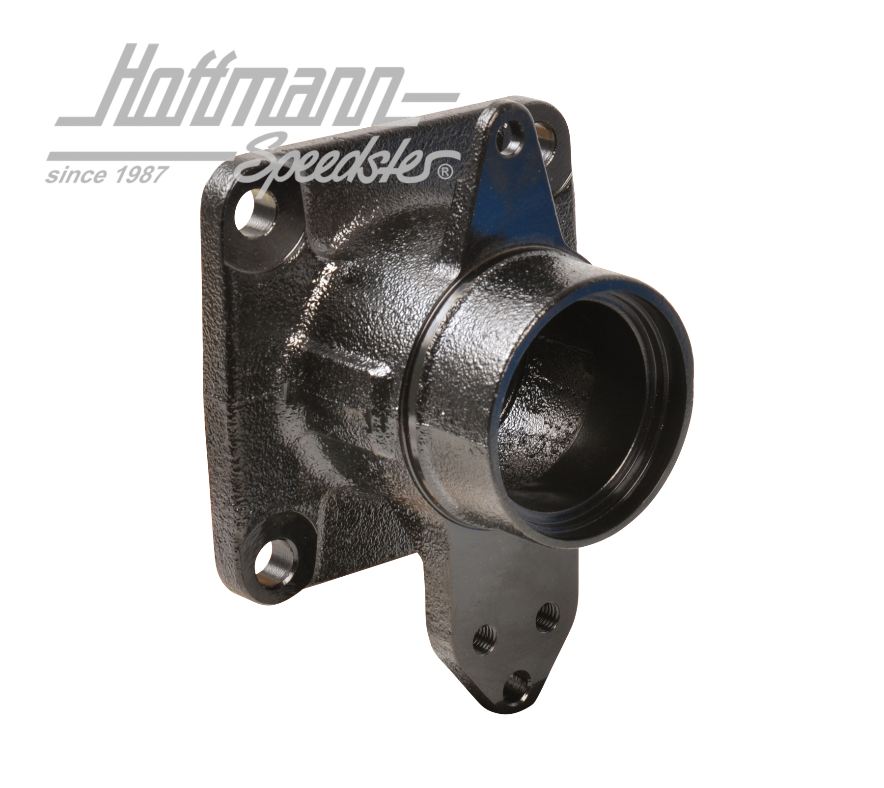 Wheel bearing housing, rear, Bus T3, L/R | 251 501 253 | 330-3592