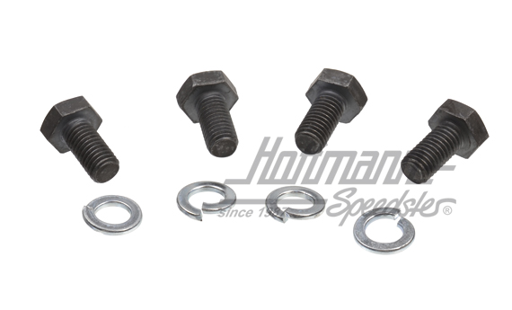 Screw set, torsion bar covers, M10x20 | N  010 252 4 | 020-0701-09