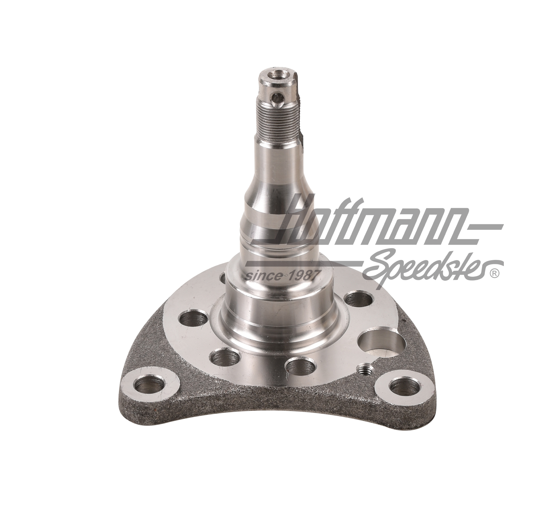 Axle stub, rear, disc brake, left                                                                   