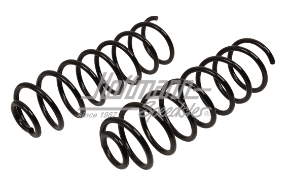 Suspension springs, standard, rear, 1.1-1.8 | 191 511 115 A | 204-3700