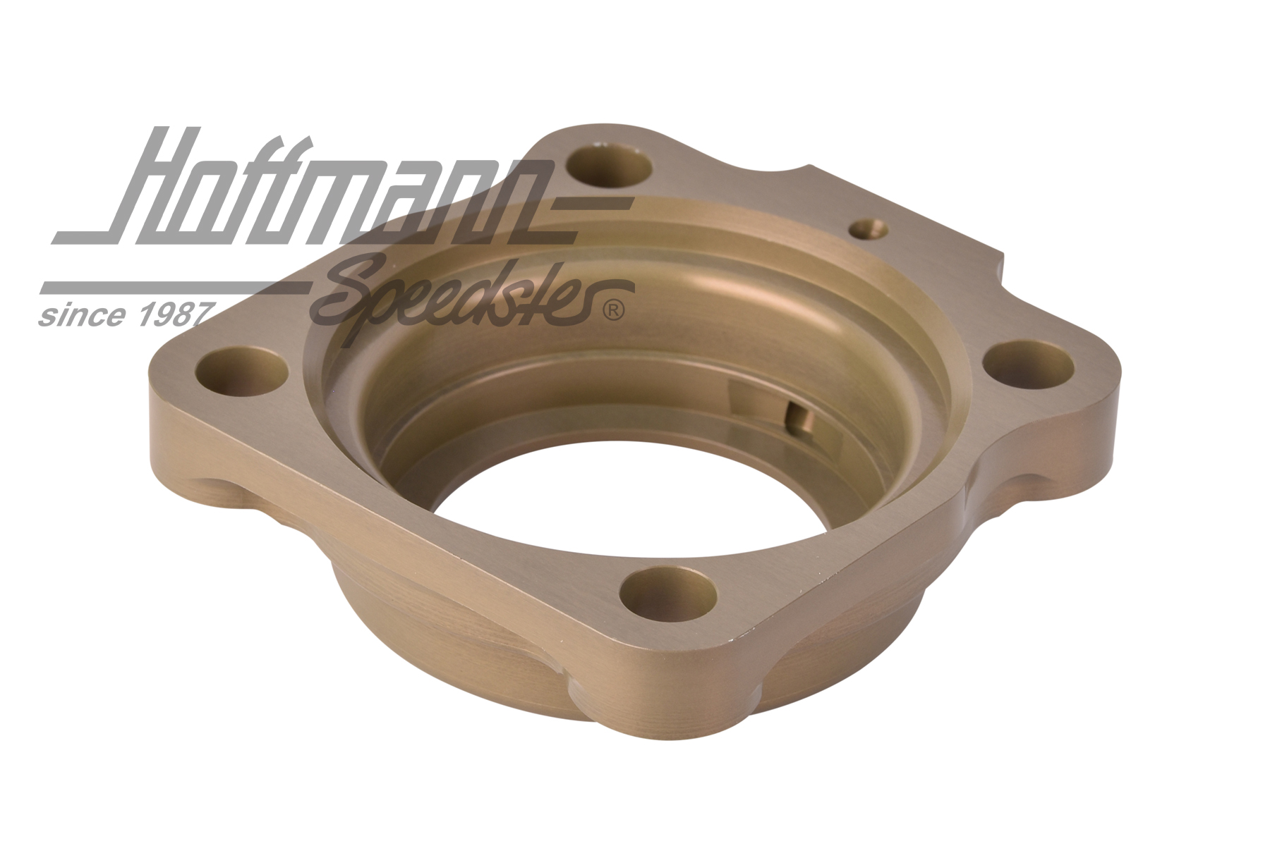 Bearing cap, rear, 8.67-, swing axle                                                                