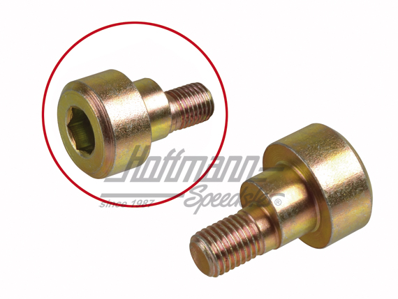 Eccentric screw, rear axle, 911, 74-89 | 901 333 133 06 | 521-5802