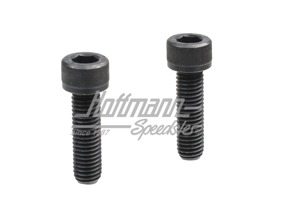 Screws, ball joint, upper, Bus T3                                                                   