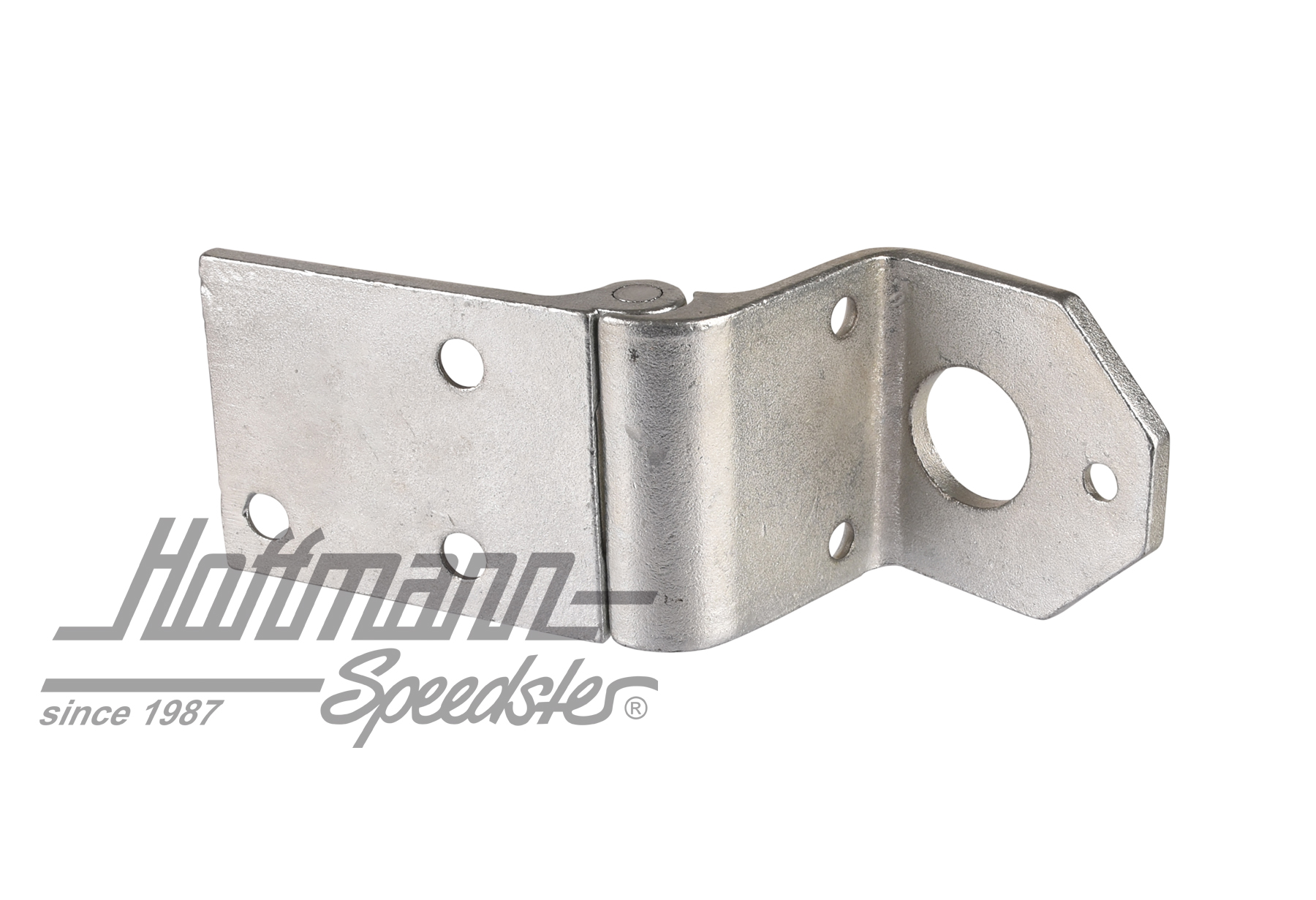 Door hinge, driver side, lower, left                                                                