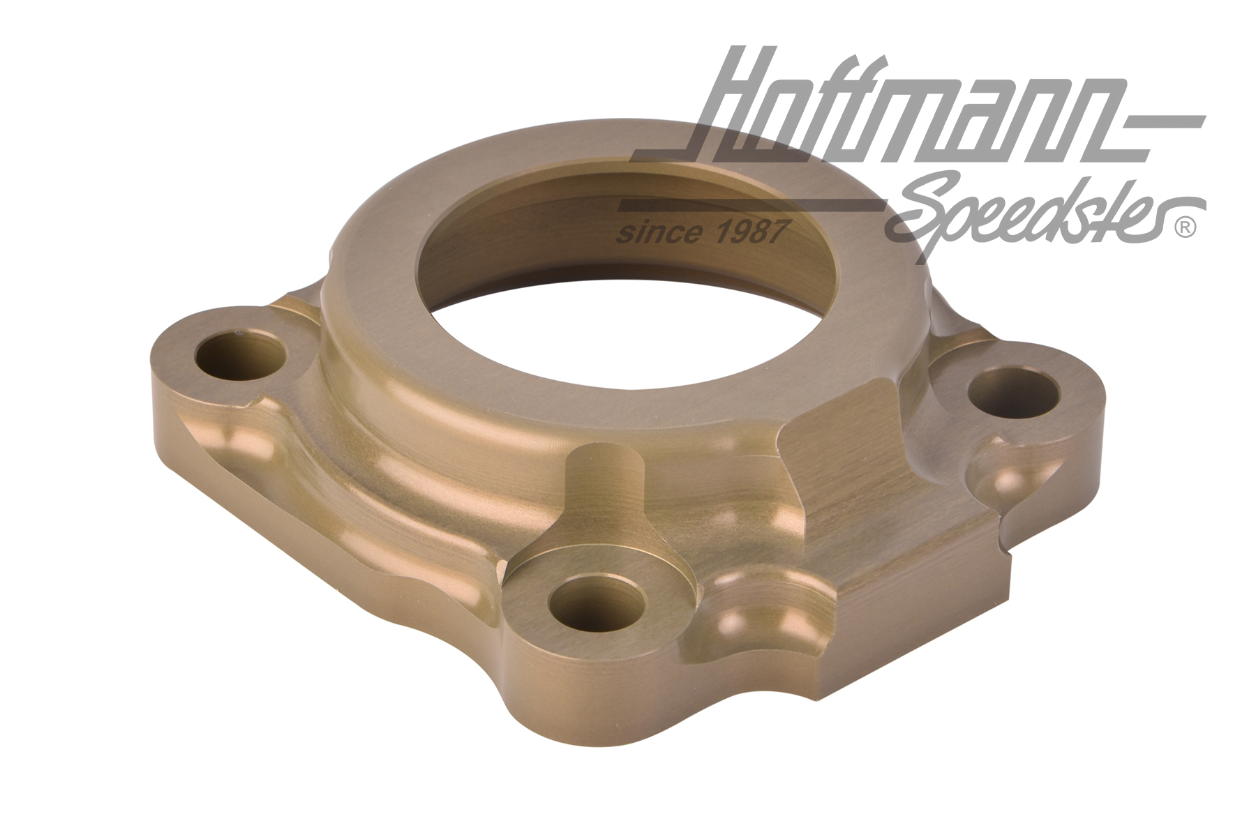 Bearing cap, rear, 8.67-, swing axle                                                                