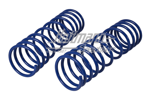 Lowering springs, front, 1302/1303, 50 mm | 7080010KER | 020-4248