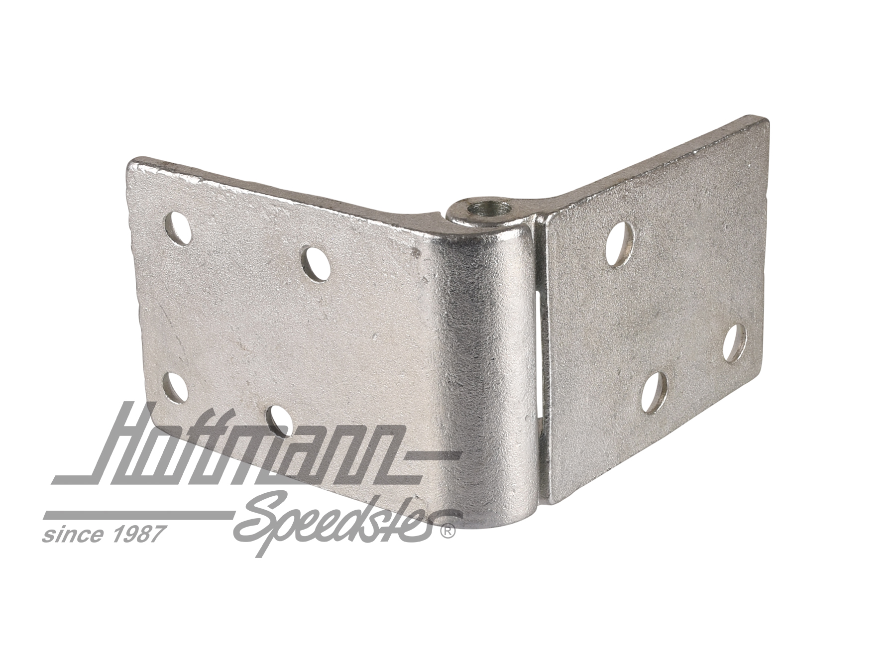 Door hinge, driver side, upper, left                                                                