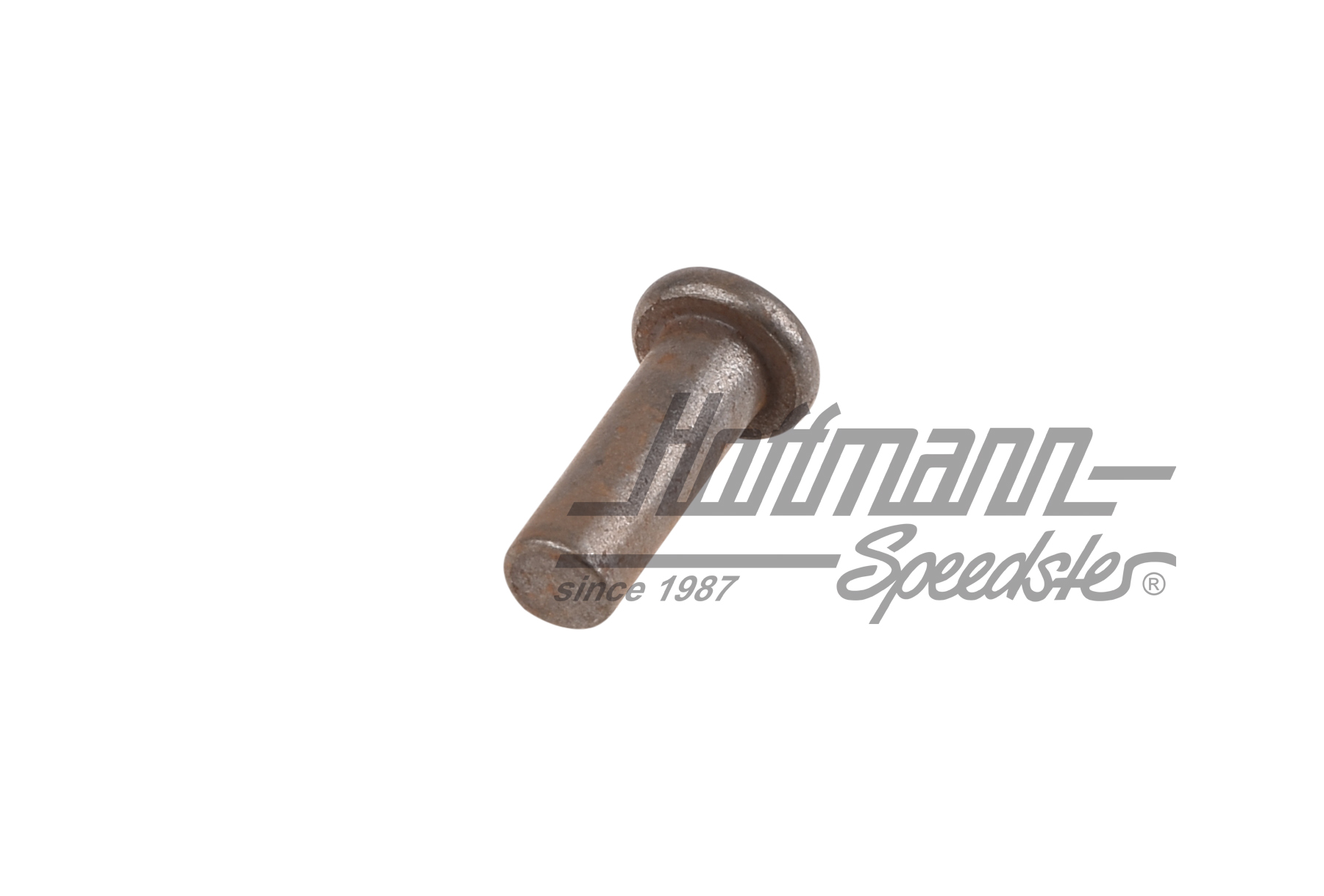 Rivet, toothed segment, handbrake lever, Bus T3                                                     